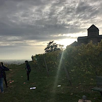 Erfurt und Weimar Teambuilding Weinberg