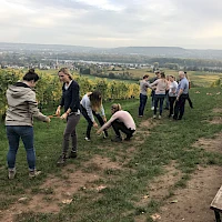 Teamaufgabe Weinberg