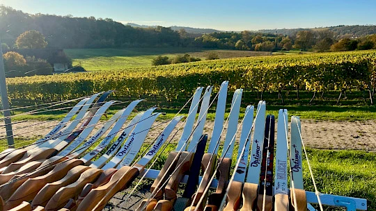 Hannover Bogenschießen