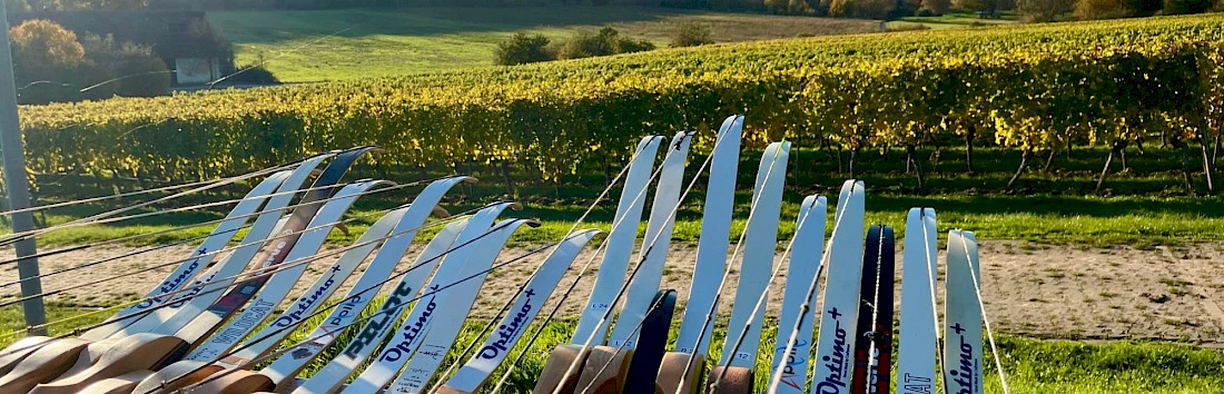 Bogenschießen als teamevent