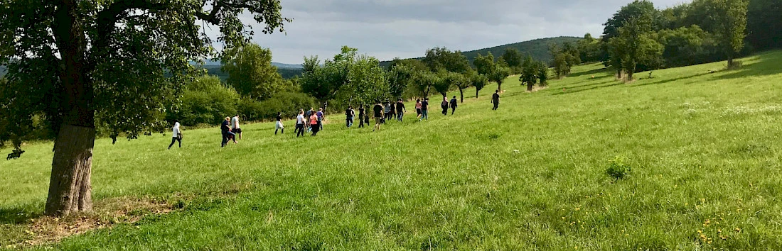 Teambuilding Olympiade