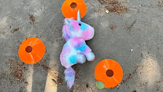 Göttingen Teamhelden Olympiade