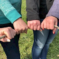 Teamevent outdoor mit Händen